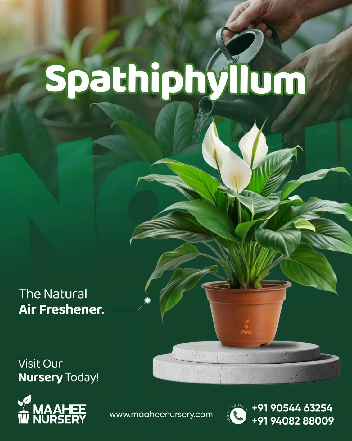 Maahee Nursery Ad Creative 7