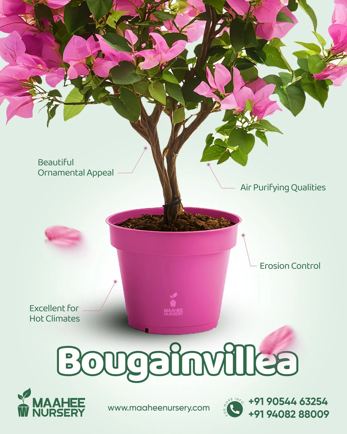 Maahee Nursery Ad Creative 5